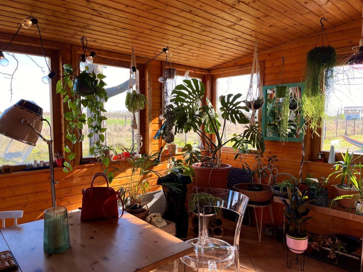 Holiday home Kishaz *