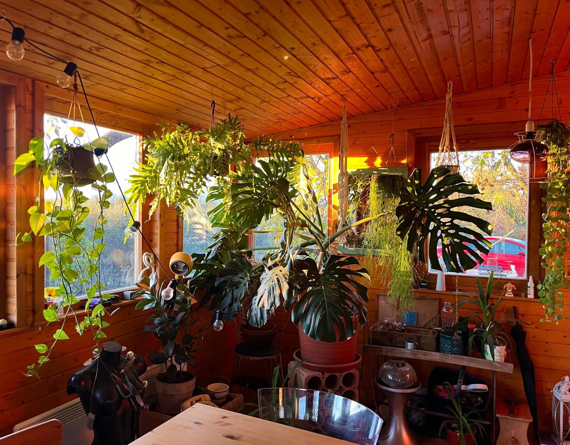 Holiday home Kishaz Gardony